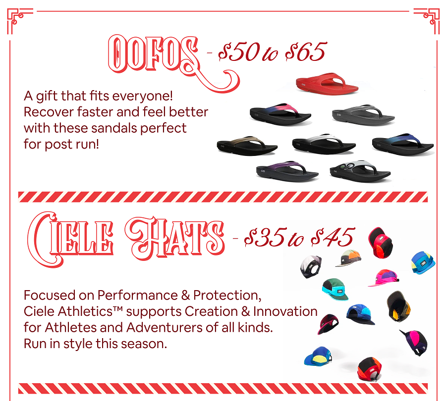 holiday gift guide